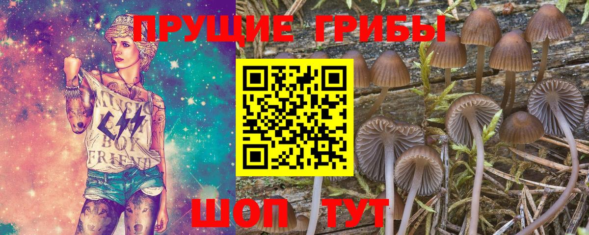 Псилоцибиновые грибы MAGIC MUSHROOMS Видное